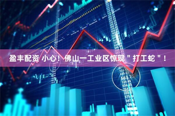 盈丰配资 小心！佛山一工业区惊现＂打工蛇＂！