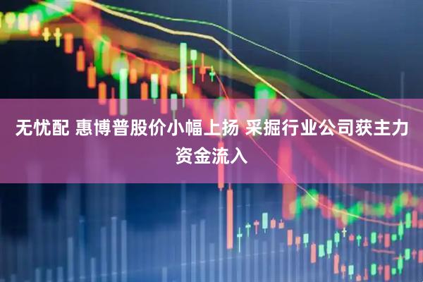 无忧配 惠博普股价小幅上扬 采掘行业公司获主力资金流入