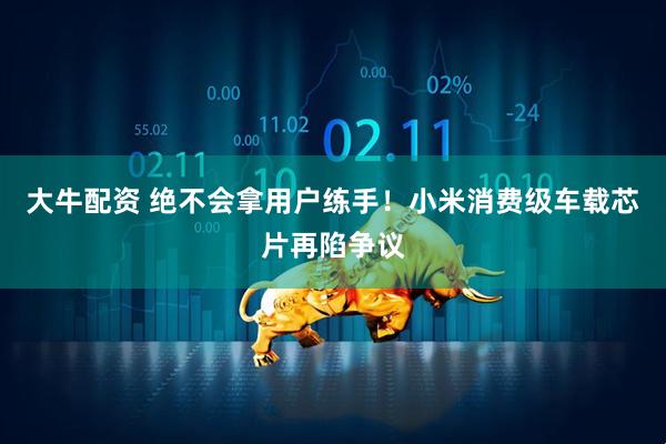 大牛配资 绝不会拿用户练手！小米消费级车载芯片再陷争议