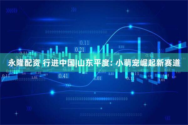 永隆配资 行进中国|山东平度: 小萌宠崛起新赛道
