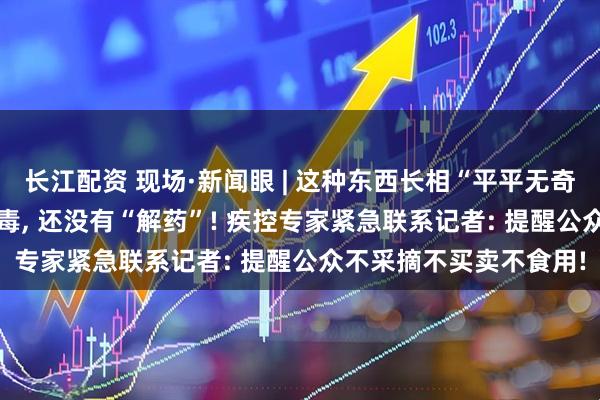 长江配资 现场·新闻眼 | 这种东西长相“平平无奇”, 小小一枚却含有剧毒, 还没有“解药”! 疾控专家紧急联系记者: 提醒公众不采摘不买卖不食用!