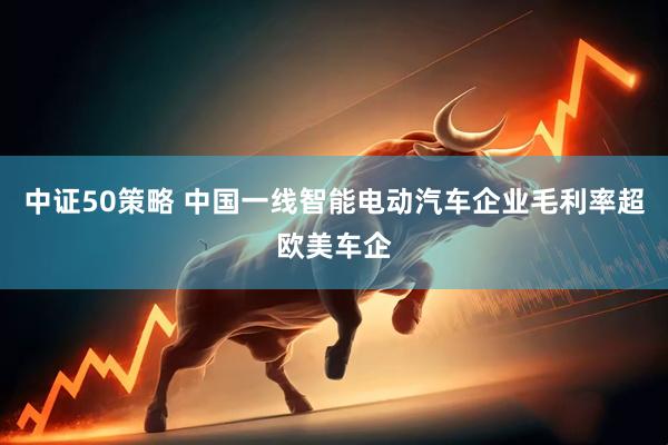 中证50策略 中国一线智能电动汽车企业毛利率超欧美车企