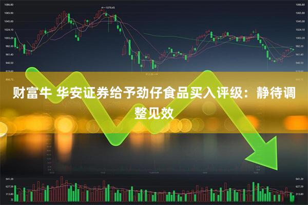 财富牛 华安证券给予劲仔食品买入评级：静待调整见效
