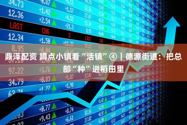 鼎泽配资 蹲点小镇看“活镇”④｜德源街道：把总部“种”进稻田里